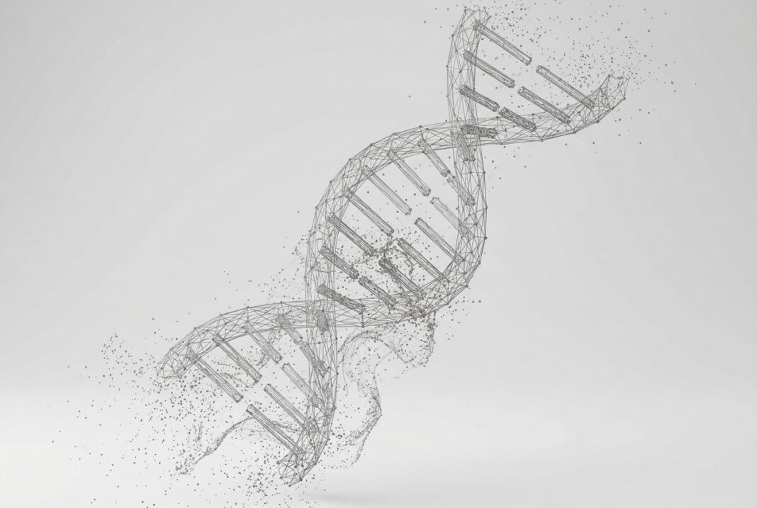 L’informazione nel DNA: la firma nella cellula