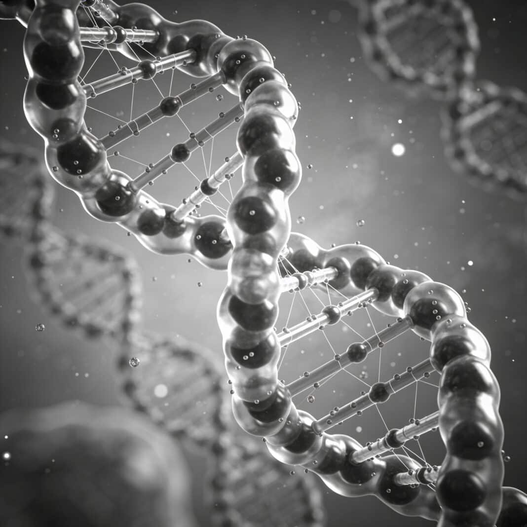 Lo spliceosoma: la macchina che taglia e ricuce ogni messaggio del genoma