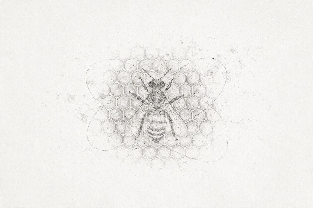 Illustrazione monocromatica a puntini di un'ape su un favo esagonale, con un percorso a forma di otto tracciato attorno a lei in linee punteggiate